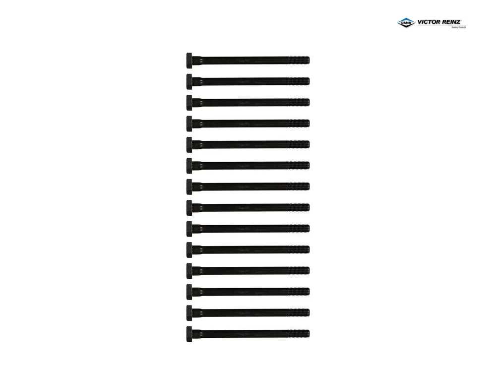 BMW E24 E28 E30 E32 E34 Silindir Kapak Saplama Seti M30 VICTOR REINZ 14-32000-02