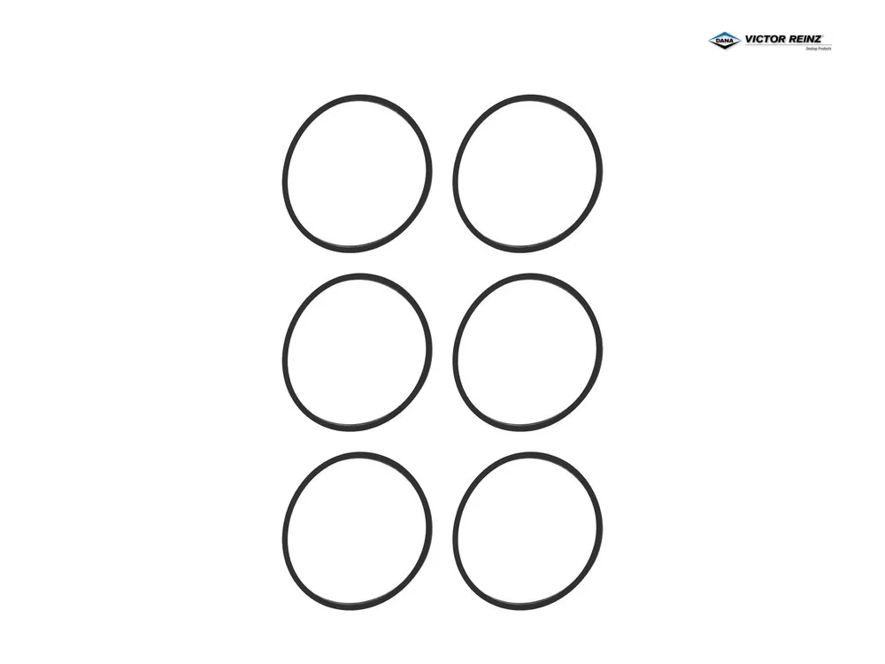 BMW E60 E61 E63 E64 E70 E81 Conta N51 N52 N53 VICTOR REINZ 71-37136-00