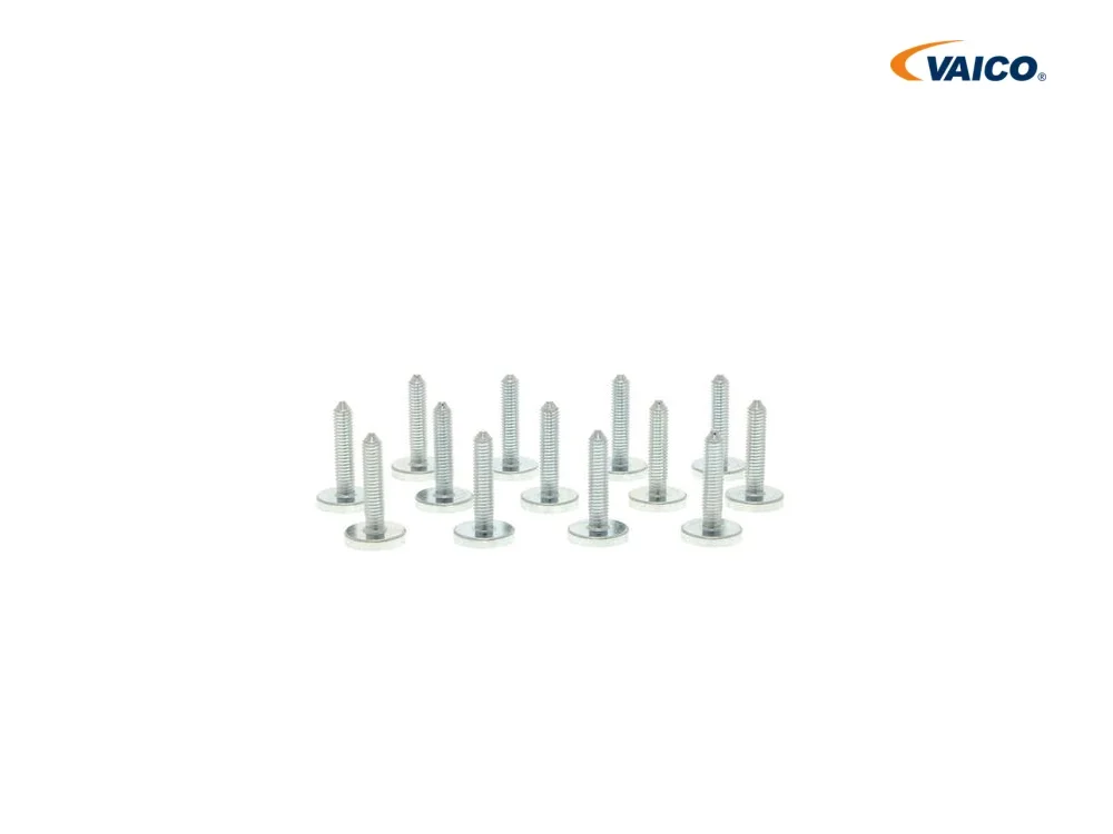 BMW E70 E71 E72 E84 E89 F01 Şanzıman Karter Cıvata Seti VAICO V20-1533