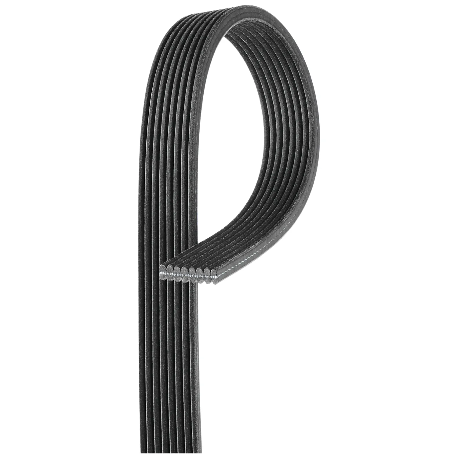 BMW E71 F01 N54 N55 V Kayışı 11287570232 8DPK1825 GATES