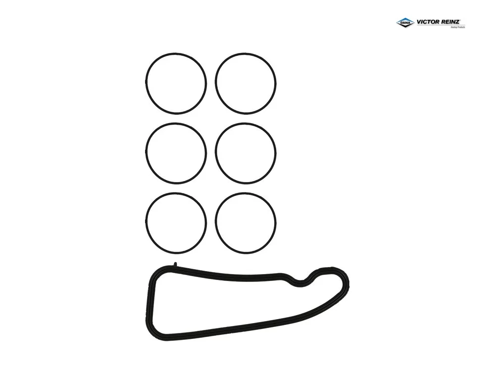 BMW F30 Conta S55 VICTOR REINZ 11-12910-01