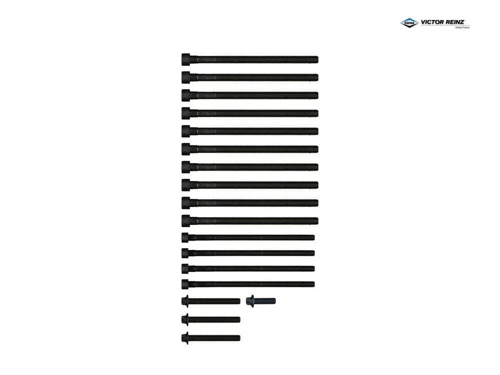 BMW N55 Silindir Kaplama Seti 11122165470 | VICTOR REINZ