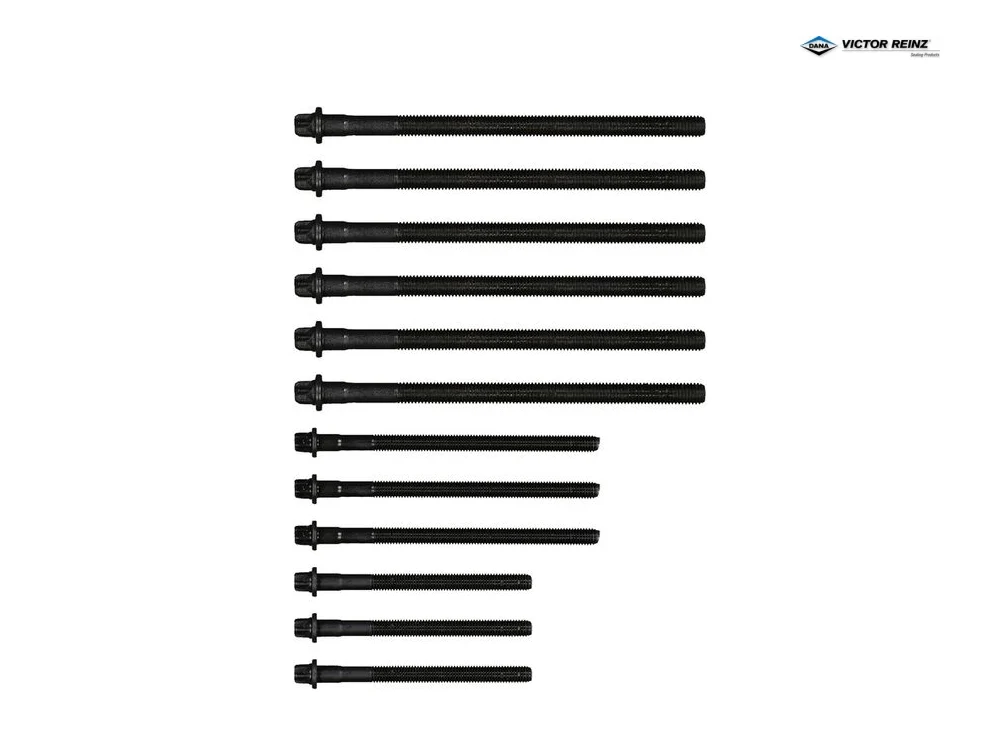 Bmw Saplama Seti N40 N42 N45 N46 11127511534 VICTOR REINZ 143231401