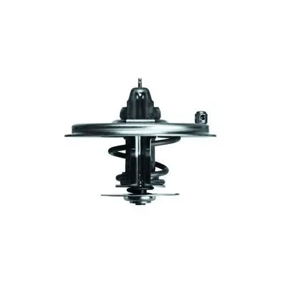 BMW Termostat 11531720033 TX 36 80D MAHLE - BMW yedek parça