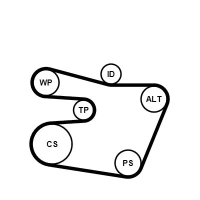 BMW E36 E38 E39 E46 M52 M54 V Kayış Seti 11281427252 6PK1538K1 CONTITECH - BMW yedek parça