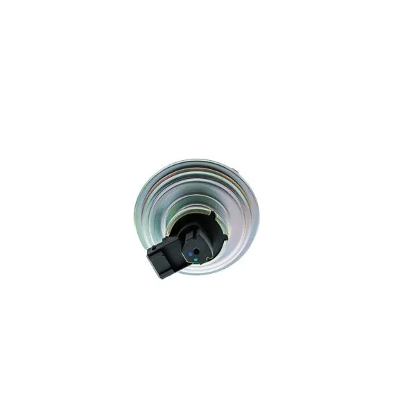 BMW E60 E61 E81 E82… M47 N47 EGR Valfi 11717801942 EGRAZ-7035 AISIN