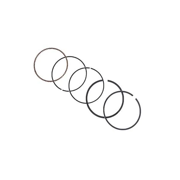 BMW F20 F21 F30 F31… Segman Takımı 11257566479 B10374 BORSEHUNG