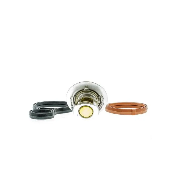 BMW MINI R50 R52 R53 W10 W11 Termostat 11531485847 THRAZ-7028 AISIN - BMW yedek parça