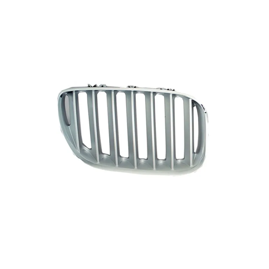 BMW X5 E53 Panjur Sağ Krom/Titan 51137124816 WENDER