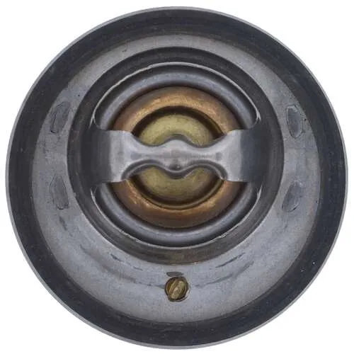 BMW Termostat 11531501173 7656-91K MOTORAD - BMW yedek parça