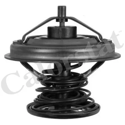 BMW Termostat 11531712043 TH6242.92J VERNET