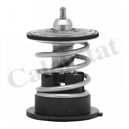 BMW Termostat TH7287-87 VERNET