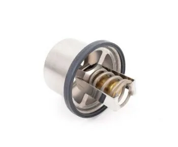 BMW M5 Termostat [E34 E39] 11537835558 | WAHLER