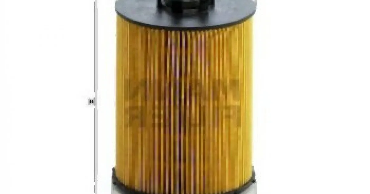 BMW N63 Yağ Filtresi 11427542021