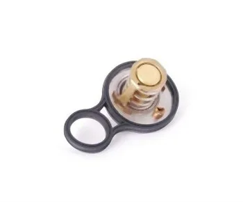 BMW MINI R50 R52 R53 - Termostat Mini 90 Contalı 11537596787 | FEBI