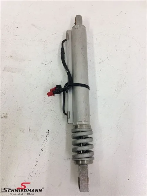 BMW Tente Amortisörü [F33] 54377128781