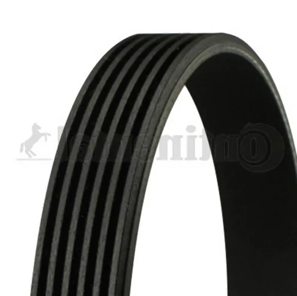 BMW Vantilatör Kayışı 6PK2160 Contıtech M57N2 [E60 E61 E63 E64 E65] 11287789985