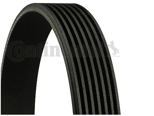 Kayış M60 [E34 E38] (Devirdaim) CNT_7PK1605 CONTITEC
