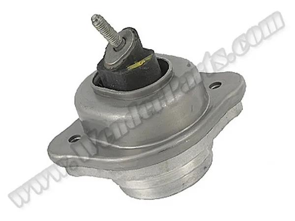 BMW M54 Motor Kulağı Sağ E-83 22113421296 | MEYLE