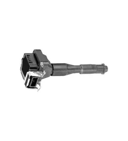 Ateşleme Bobini BSG 15-835-003