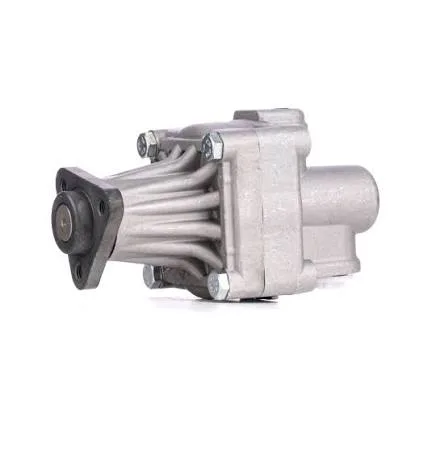 Bmw Direksiyon Pompası E30 E28 320 32411141243 BSG 15355001