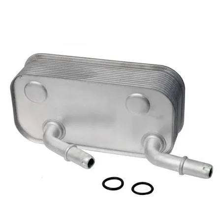 Bmw Yağ Soğutucu E46 X3 Z4-E85 17227505826 BSG BSG15506001