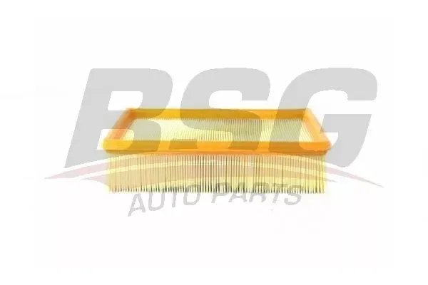 Hava Filtresi BSG 15-135-002