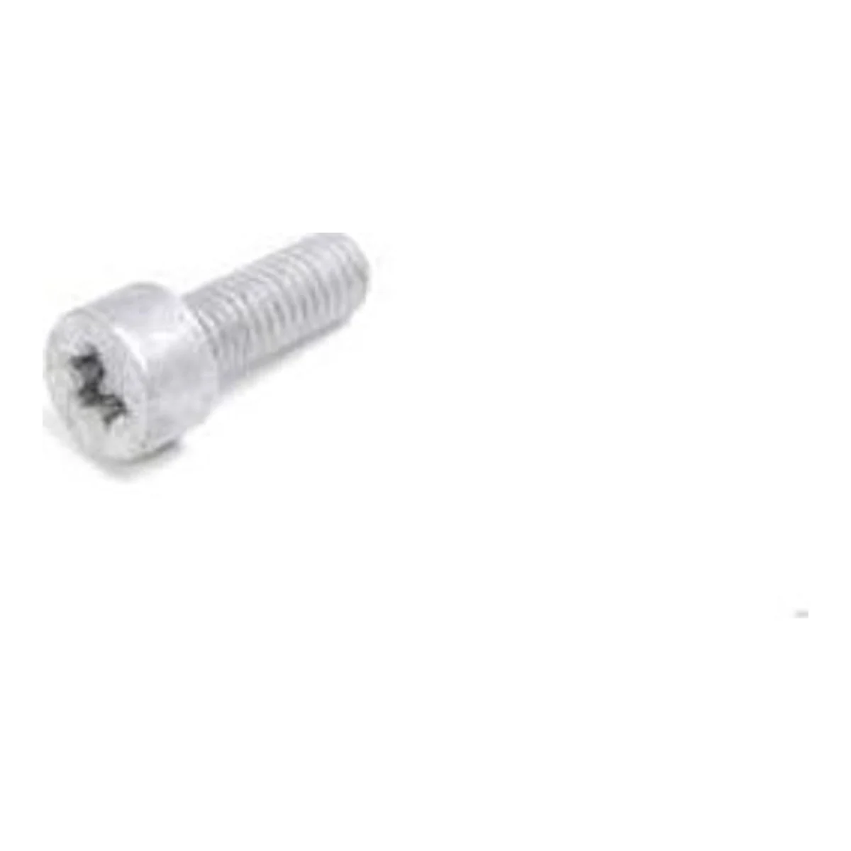 BMW İç Torx Başlı Cıvata 07129904588