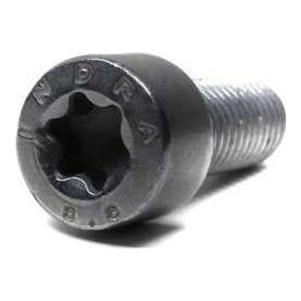 BMW E36 E39 E46 E53… Silindir Başlı Cıvata M10x25 07129905534