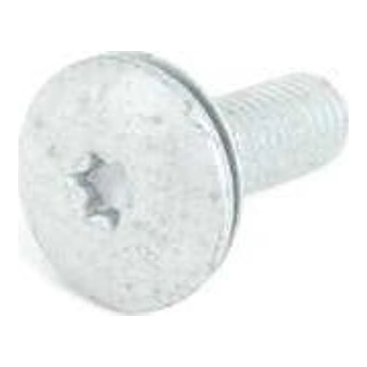 BMW E39 E63 E64 E65… Pullu Torx Cıvata M8x24 07149137069