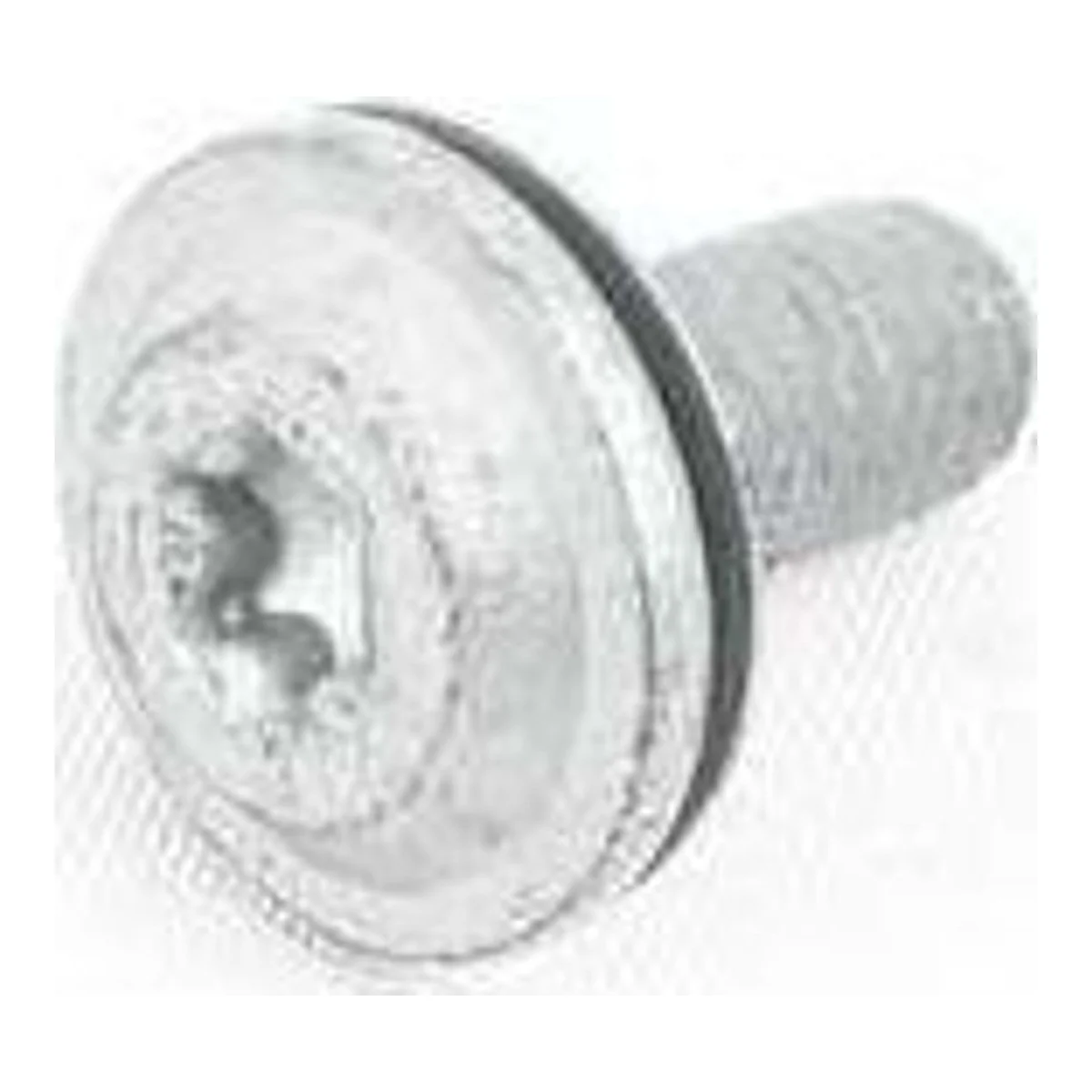 BMW E46 E65 E66 F25… Pullu Torx Cıvata M8x18 07149148311