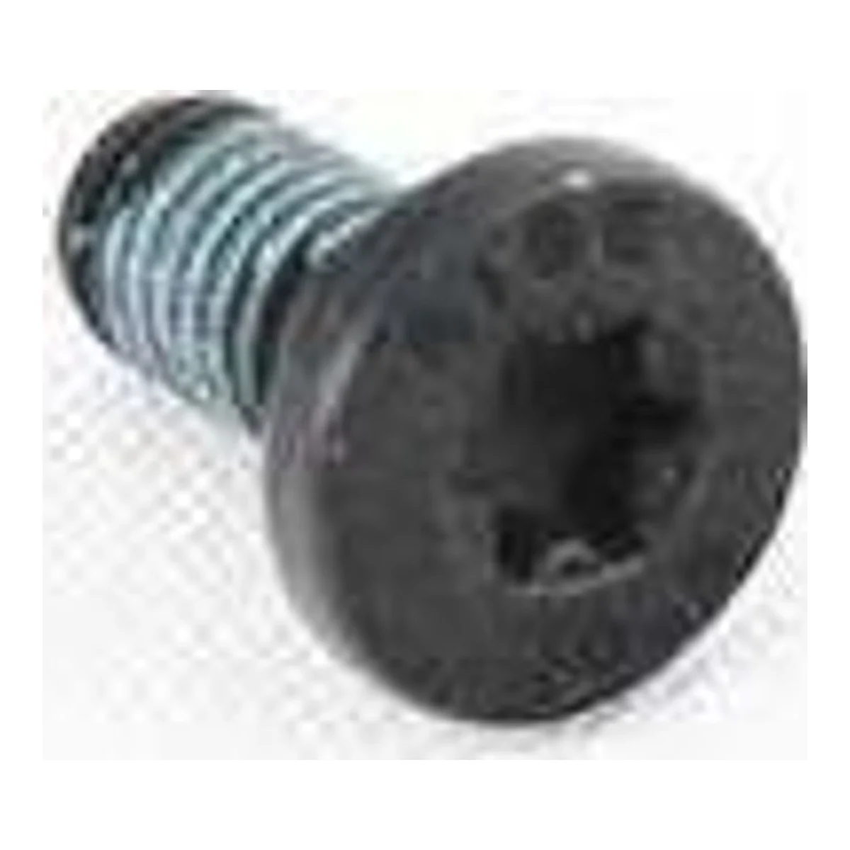 BMW MINI F55 F56 R55 R56 Torx Cıvata 07149194838