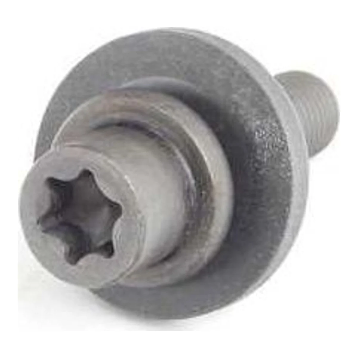 BMW E38 E39 E53 VANOS Torx Cıvatası 11317500349