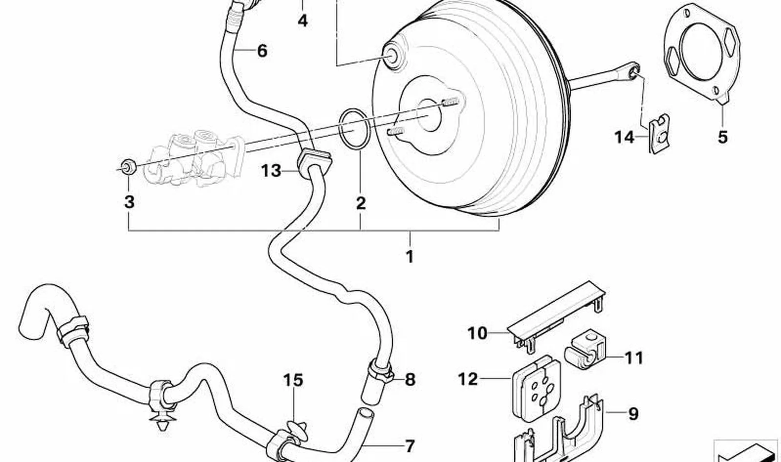 BMW X5 E53 Vakum Hortumu 11667629613