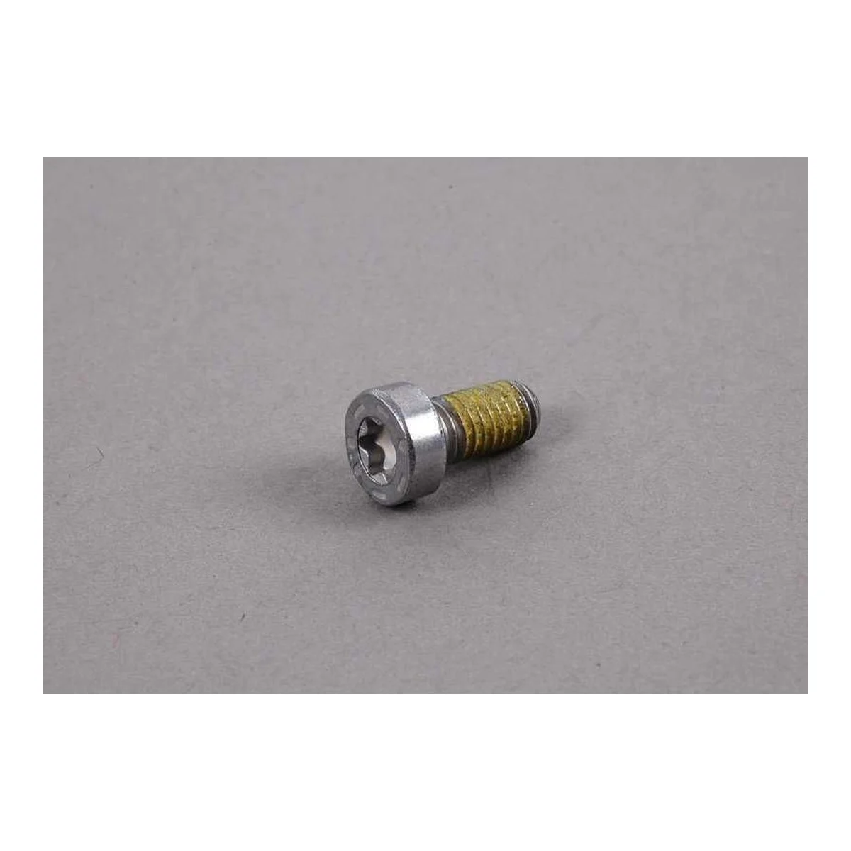 BMW E34 E36 E38 E39… İç Torx Cıvata 23117531355