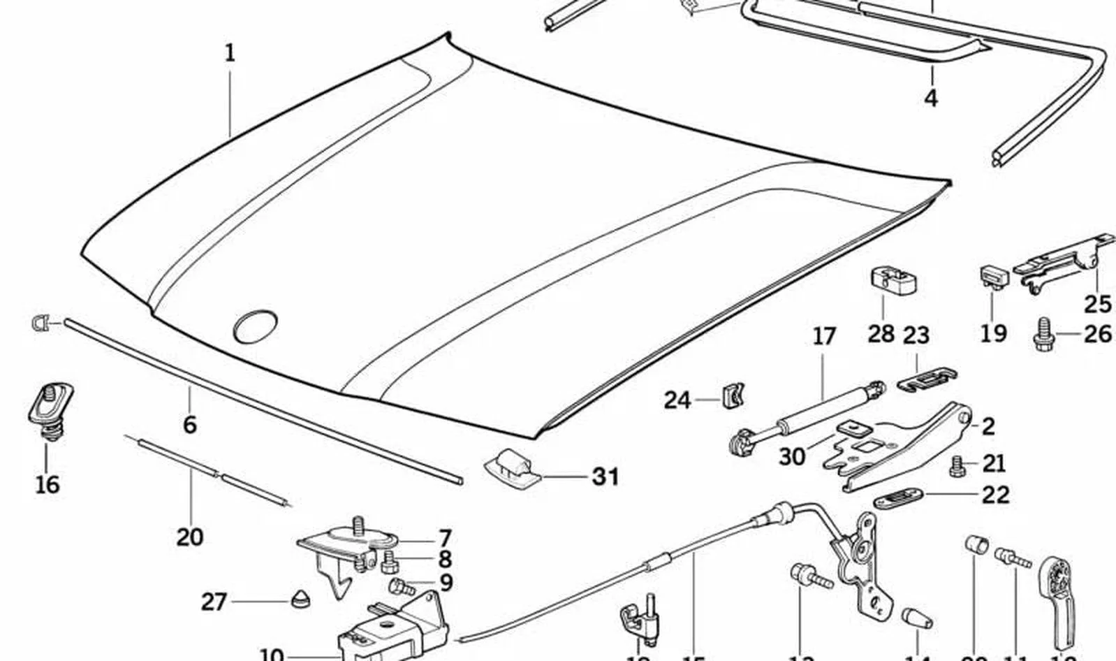 BMW 3 Serisi E36 Kaput Kilidi 51231977635