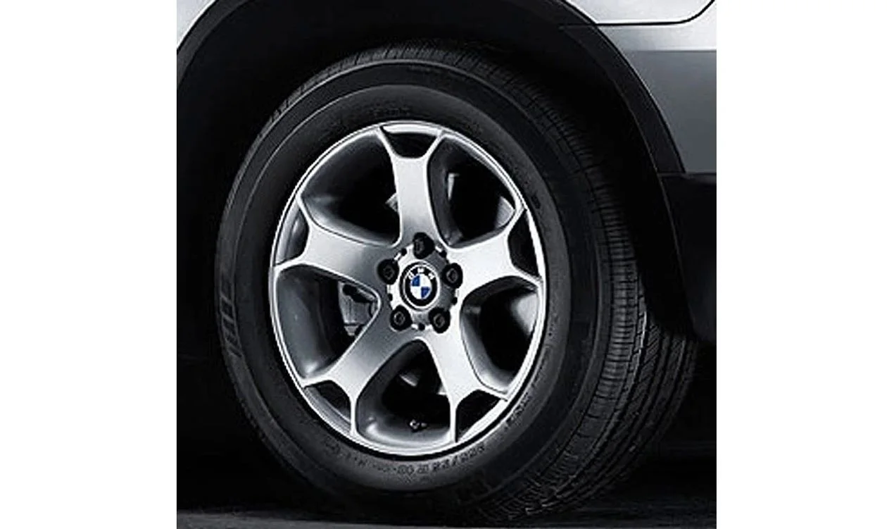 BMW X5 E53 18 İnç Alaşım Jant 36116761930