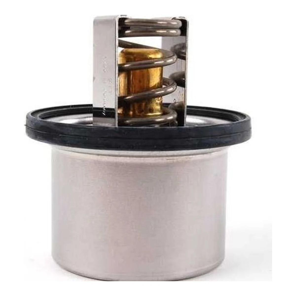 BMW 5 Serisi E39 M5 Termostat 11537835558