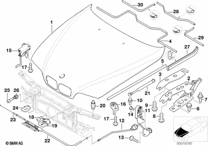 BMW 5 Serisi E39 Menteşe Fitili Sağ 51718215268