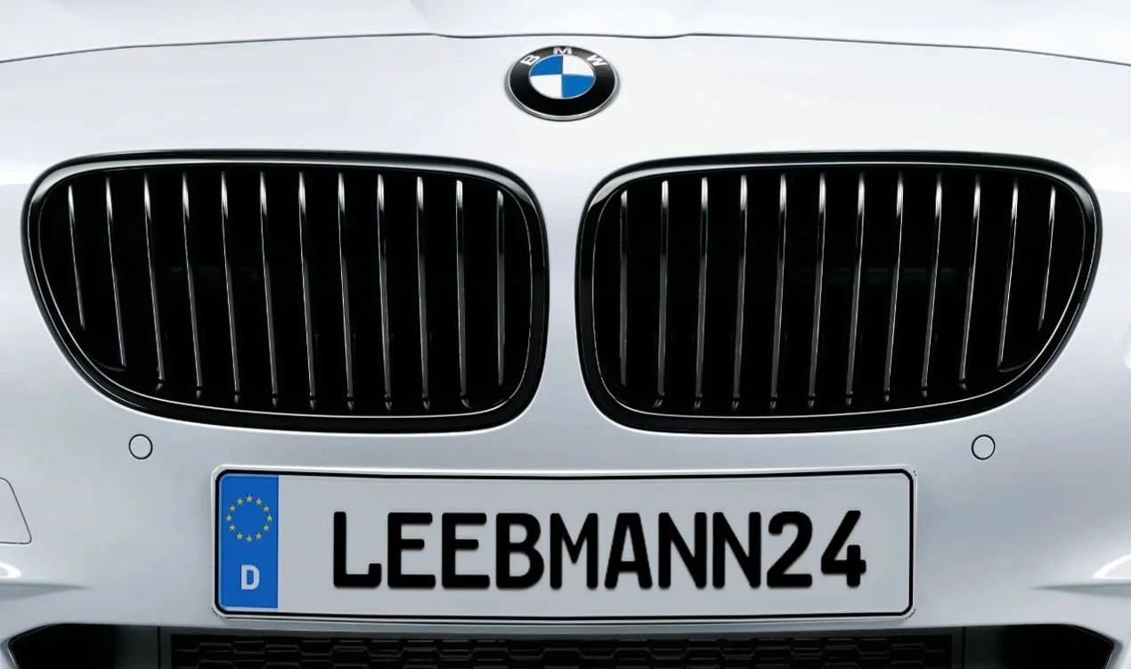 BMW 5 Serisi F10 Panjur Mperformans Sol 51712165539