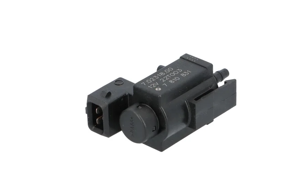 BMW E36 E39 E46 E53… M47 M57 N43… EGR Valfi N67 BM_11747810831