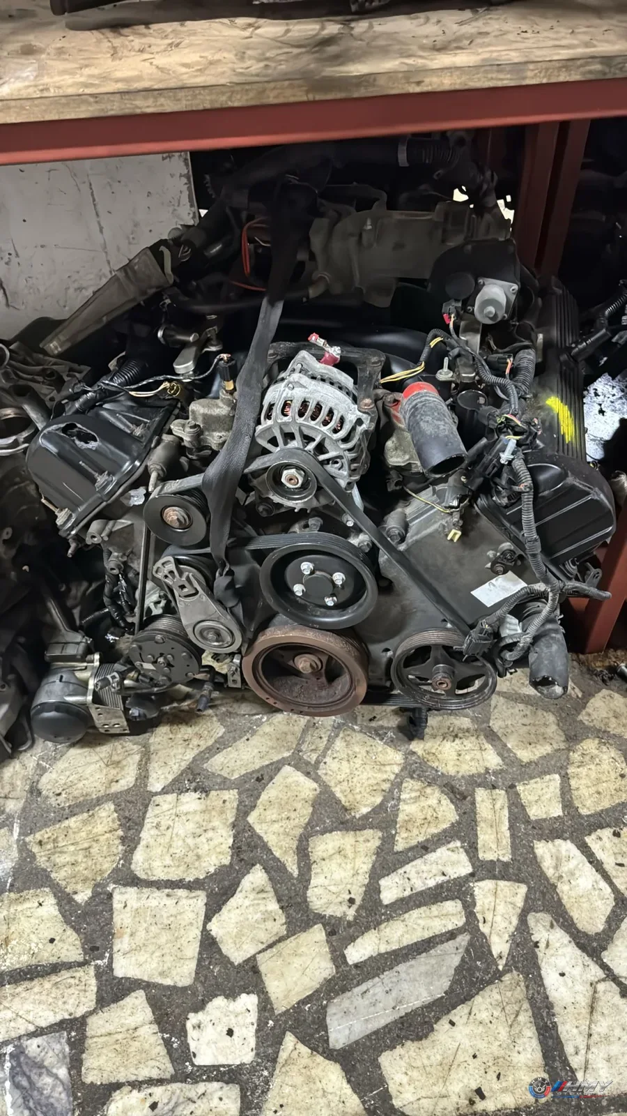 Ford Mustang 4.6 V8 Benzinli Komple Motor ve Şanzıman Çıkma