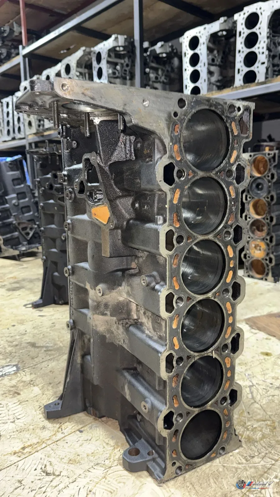 BMW Orijinal Çıkma 5 Serisi E39 - Motor Bloğu 7788546